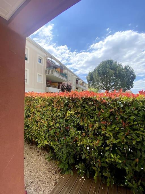 Lou Cameou Marseillan (Herault) Exterior foto